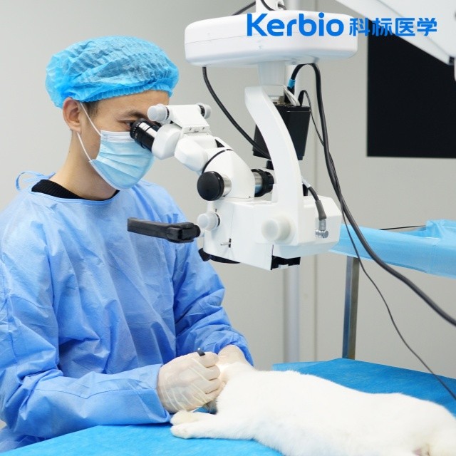 http://www.anmanshidai.cn/uploadfiles/60.247.152.80/webid1539/source/202410/3174117285520325.jpg